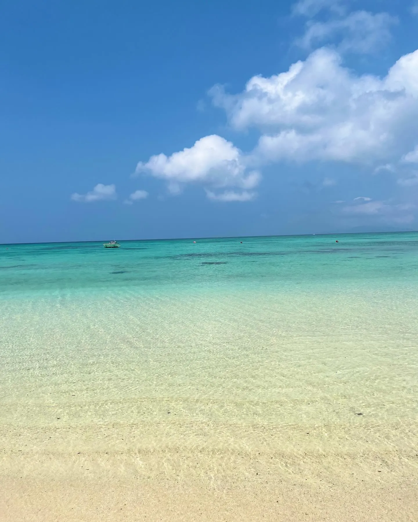 《5月のお休み🌛》